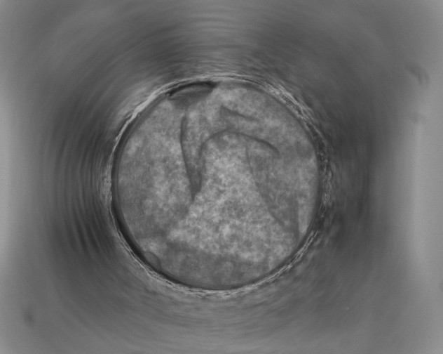 X0000112400002200909110939