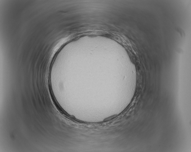 X0000112400003200909110939