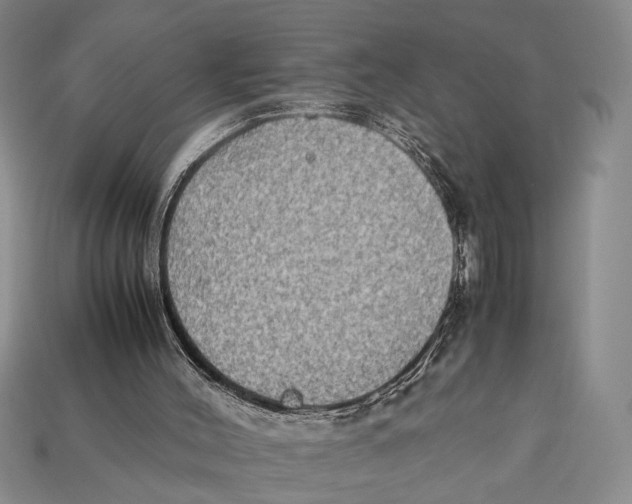 X0000112400004200909110939