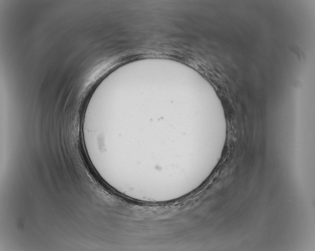 X0000112400005200909110939