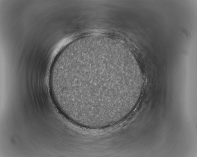 X0000112400006200909110939