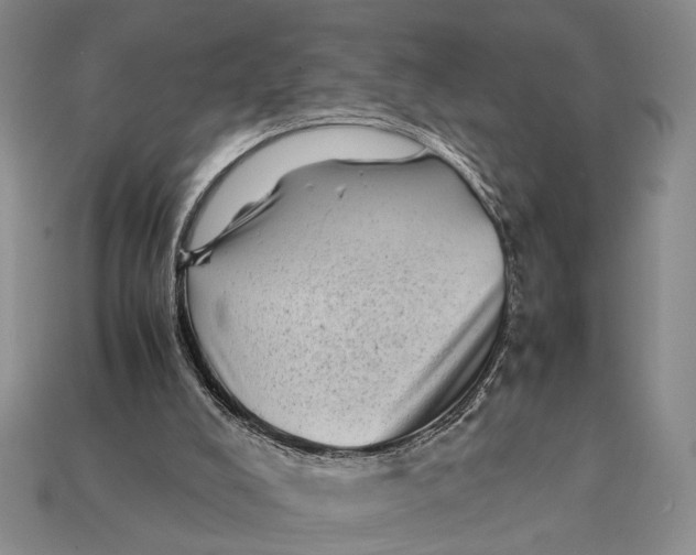 X0000112400008200909110939