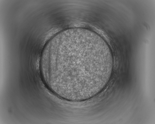 X0000112400010200909110939