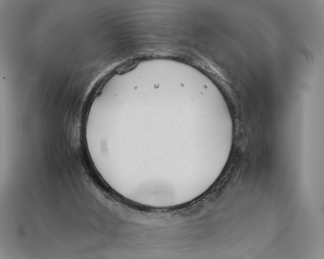 X0000112400012200909110939