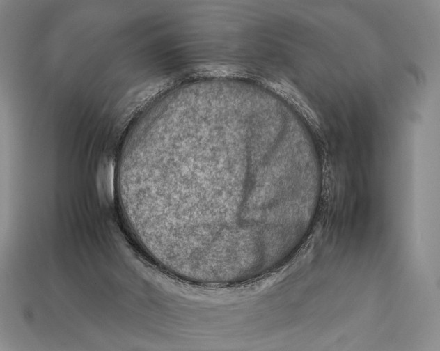 X0000112400014200909110939