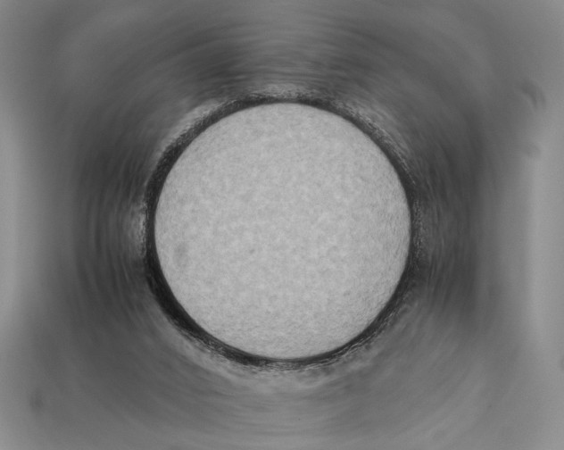X0000112400016200909110939