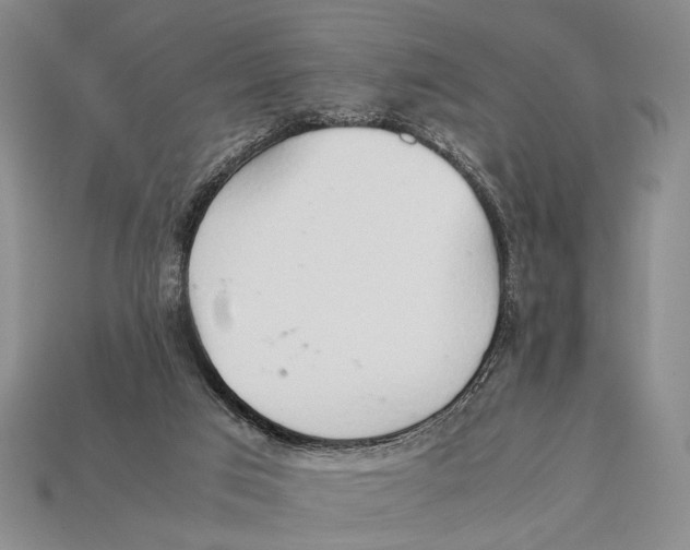 X0000112400017200909110939