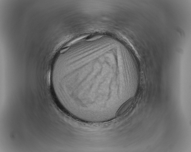 X0000112400019200909110938