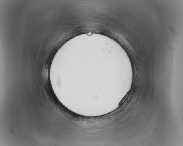 X0000112400021200909110938