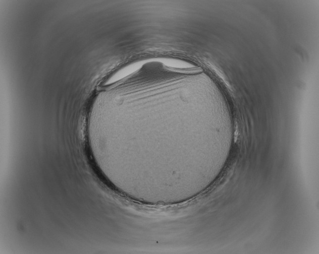 X0000112400023200909110938