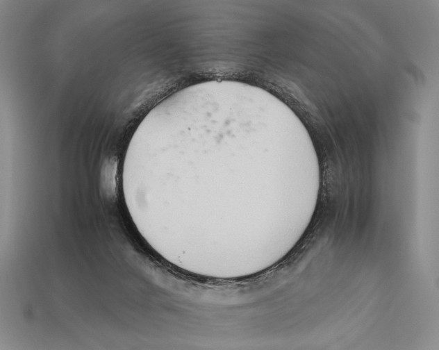 X0000112400024200909110938