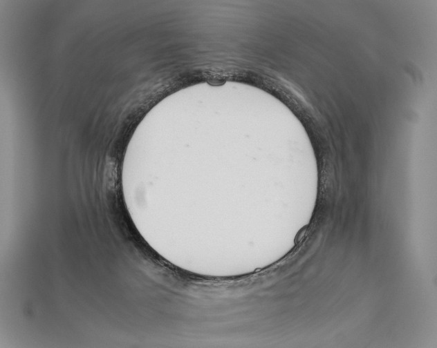 X0000112400025200909110938