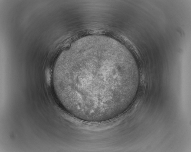 X0000112400026200909110938