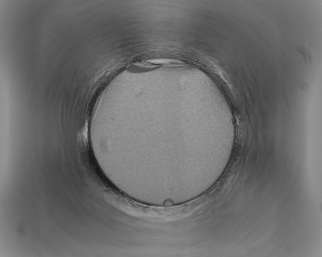 X0000112400027200909110938