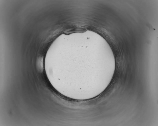 X0000112400028200909110938