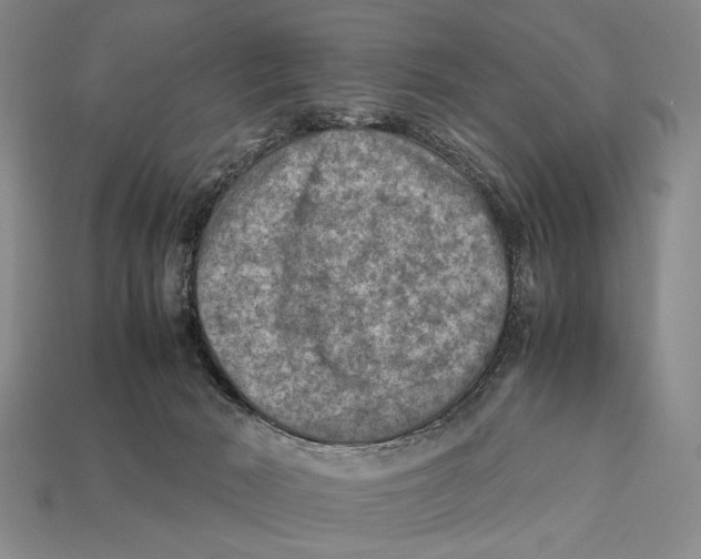 X0000112400030200909110938