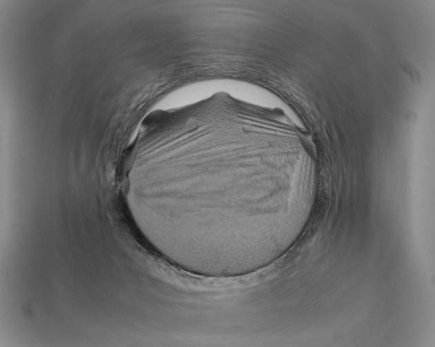 X0000112400031200909110938