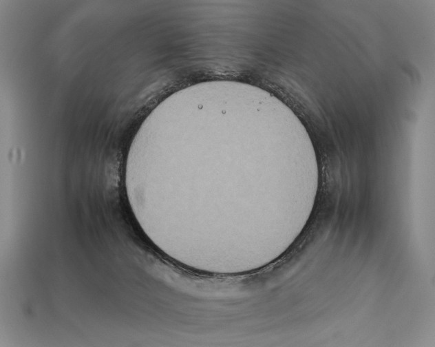 X0000112400032200909110938