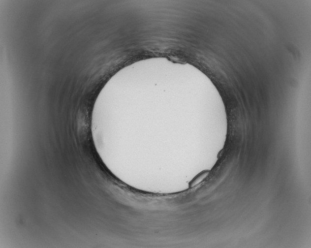 X0000112400040200909110938