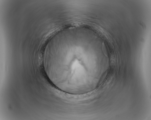 X0000112400043200909110938