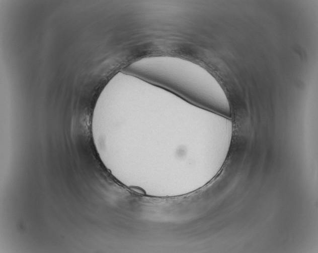 X0000112400045200909110938