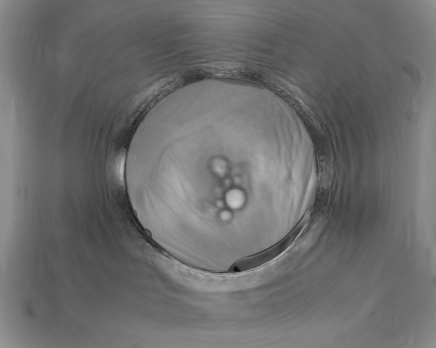 X0000112400047200909110938