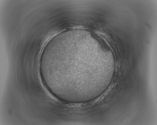 X0000112400049200909110938