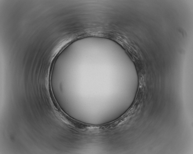 X0000112400052200909110938