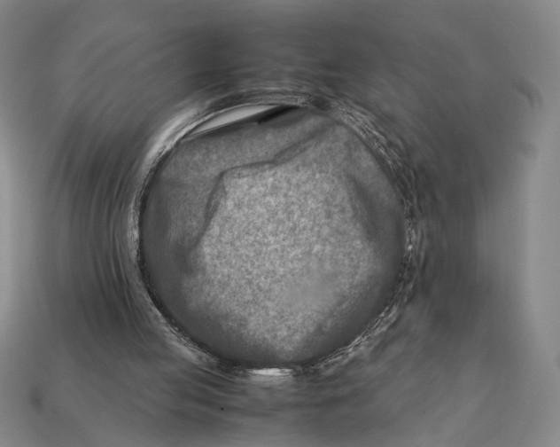 X0000112400053200909110938