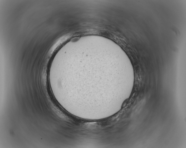 X0000112400054200909110938