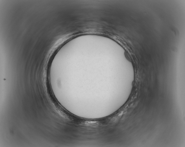 X0000112400055200909110938