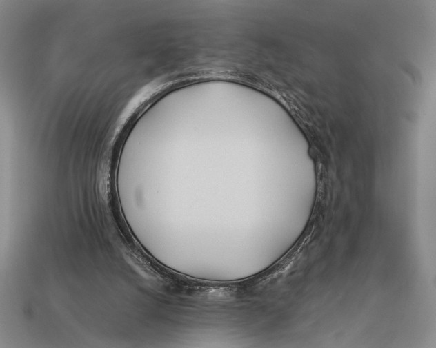 X0000112400056200909110938