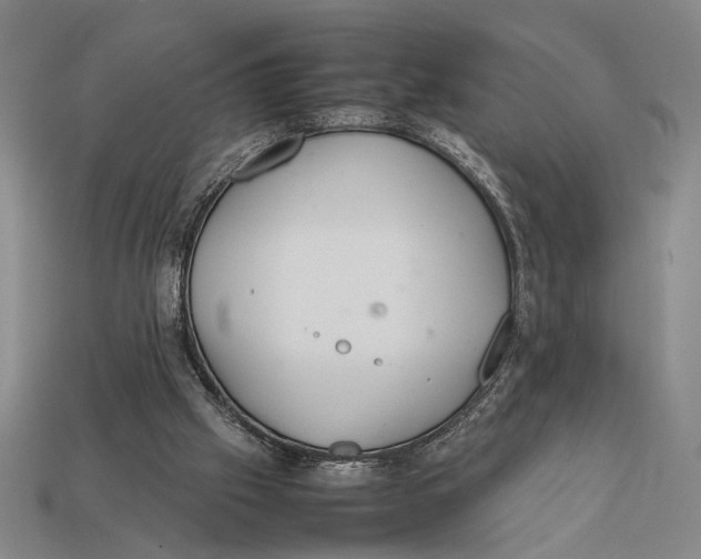 X0000112400057200909110938