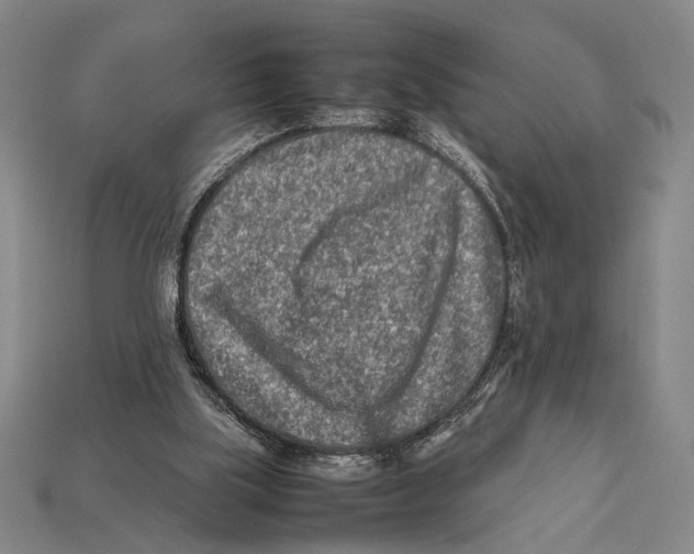X0000112400059200909110938