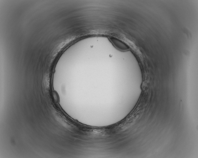 X0000112400060200909110938