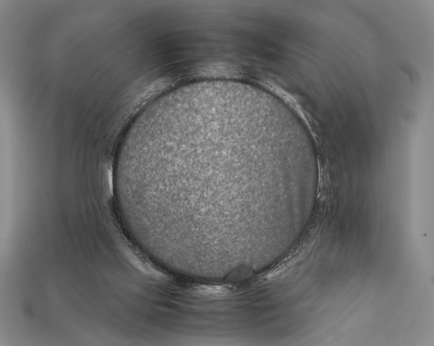 X0000112400061200909110938