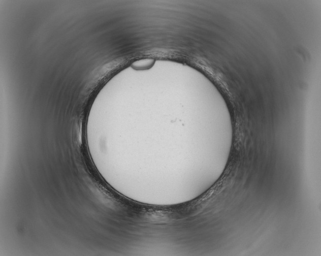 X0000112400062200909110938