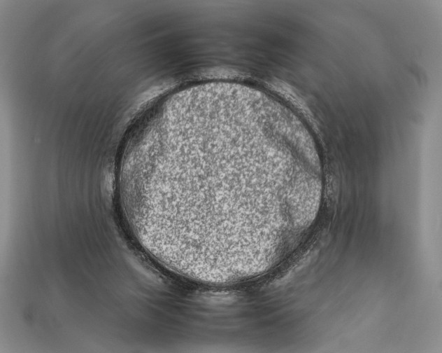 X0000112400063200909110938