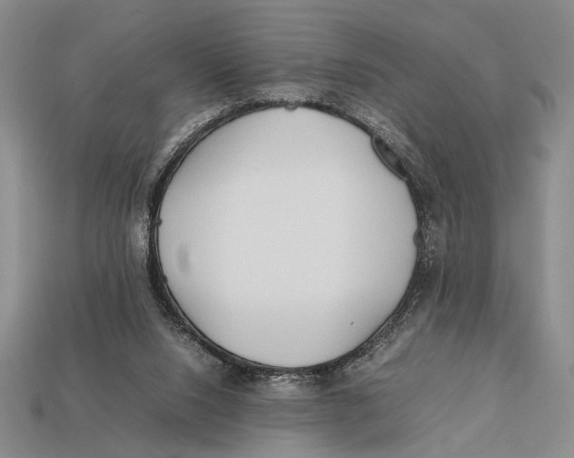 X0000112400064200909110938