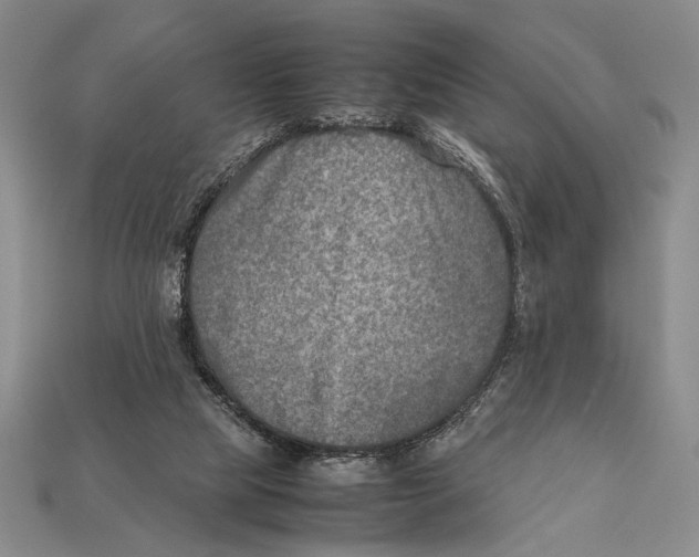 X0000112400065200909110938