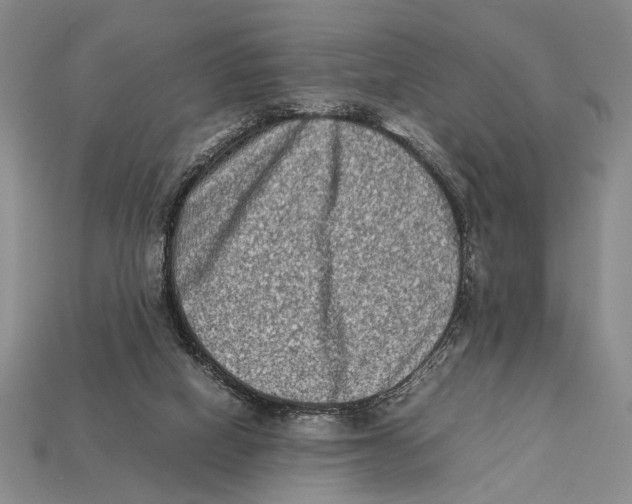 X0000112400066200909110938