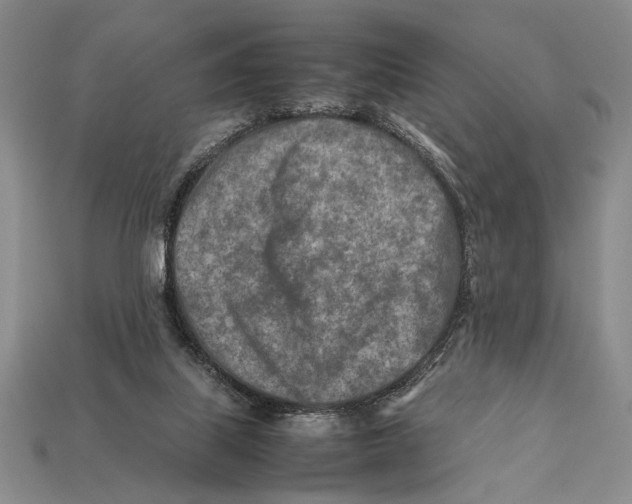 X0000112400067200909110938