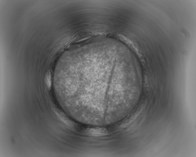 X0000112400069200909110938