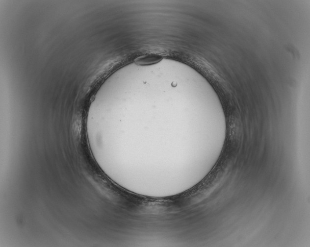 X0000112400072200909110938