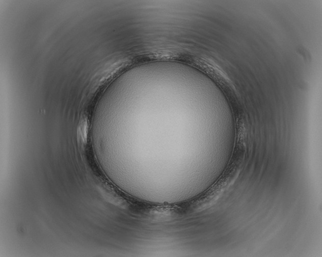 X0000112400076200909110938