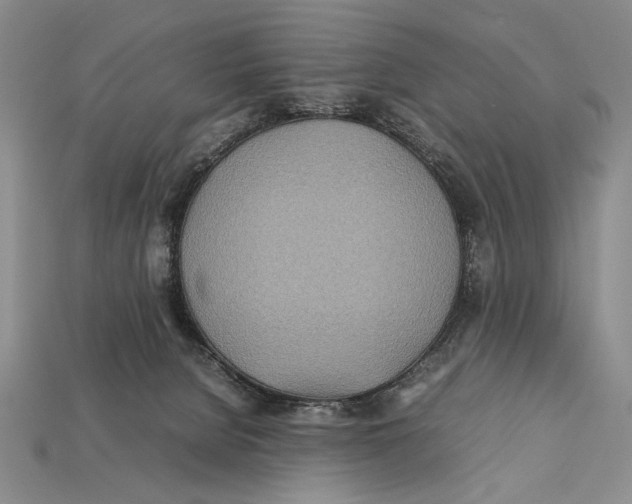 X0000112400080200909110938