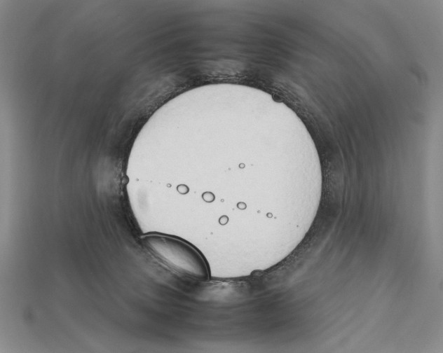 X0000112400083200909110938