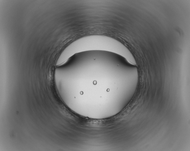X0000112400084200909110938