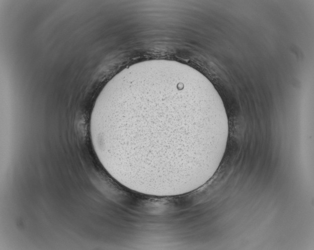X0000112400086200909110938