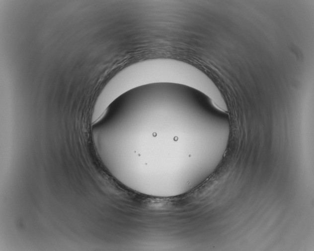 X0000112400088200909110938